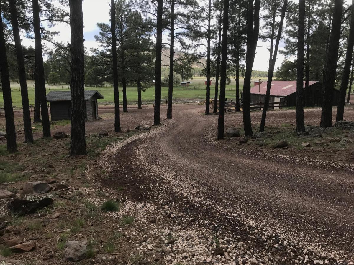 Grand Canyon 1Bd Loft/Suite-Horseback Riding-Shooting-Dogs Ok! Parks Dış mekan fotoğraf
