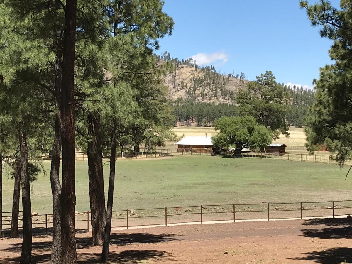 Grand Canyon 1Bd Loft/Suite-Horseback Riding-Shooting-Dogs Ok! Parks Dış mekan fotoğraf
