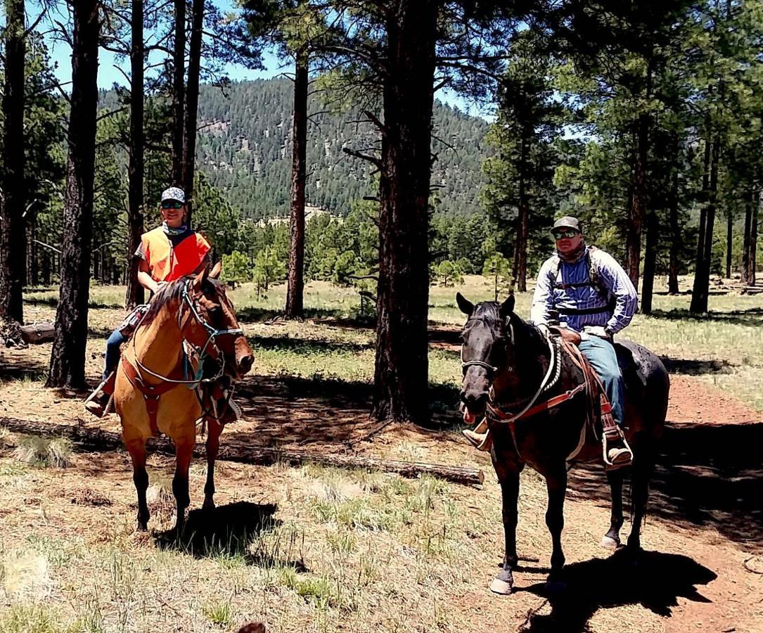 Grand Canyon 1Bd Loft/Suite-Horseback Riding-Shooting-Dogs Ok! Parks Dış mekan fotoğraf