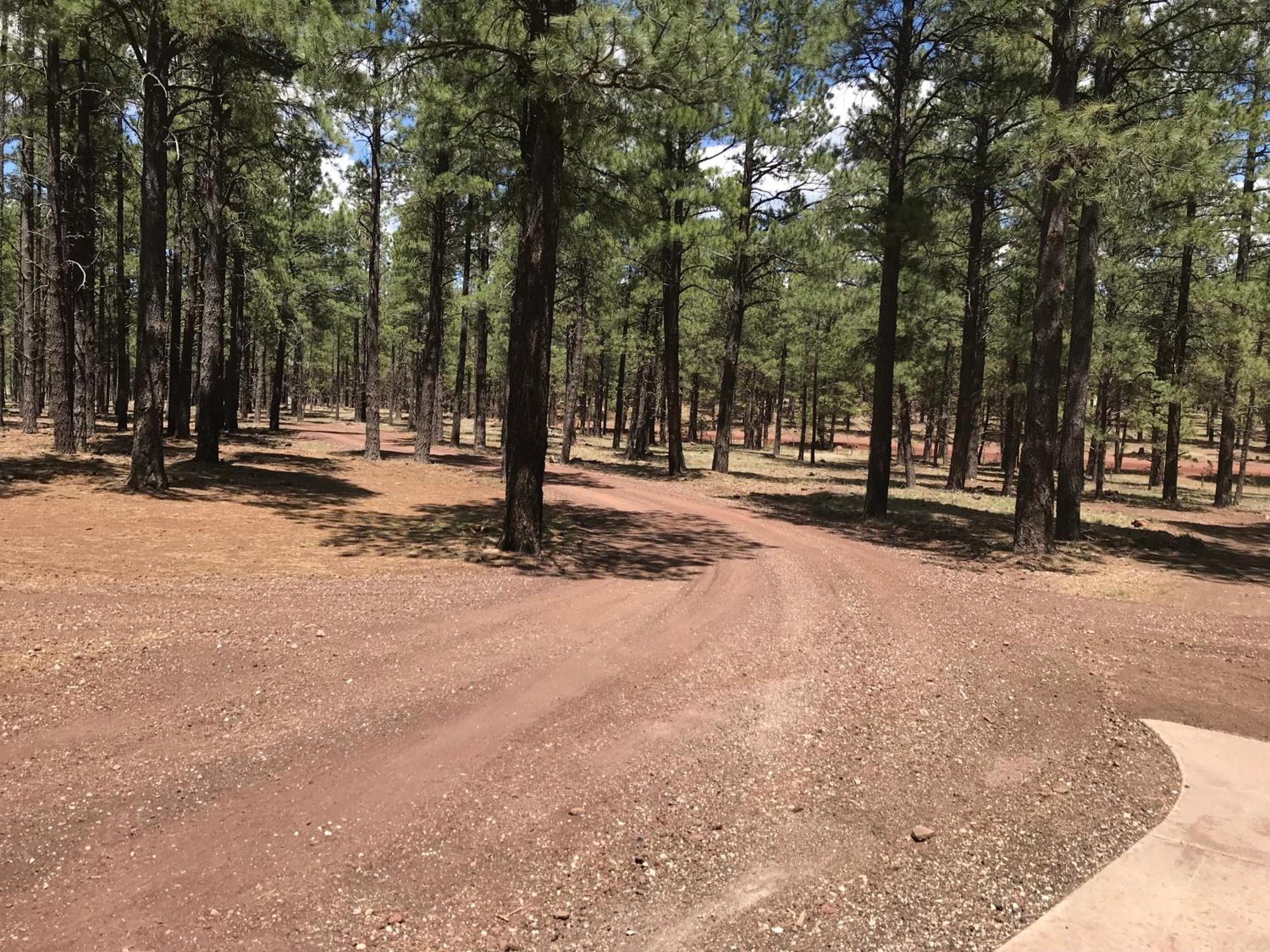 Grand Canyon 1Bd Loft/Suite-Horseback Riding-Shooting-Dogs Ok! Parks Dış mekan fotoğraf